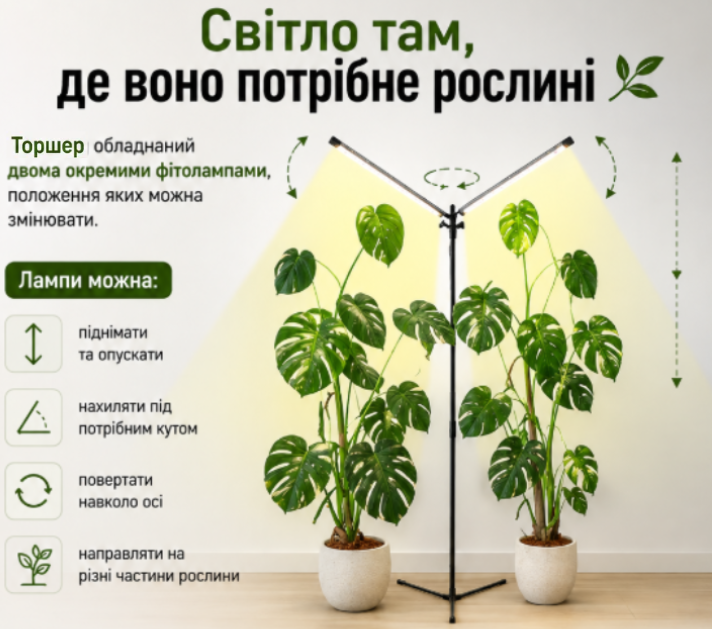 Світло там, де воно потрібне рослині