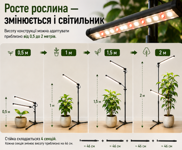 Росте рослина — змінюється і світильник
